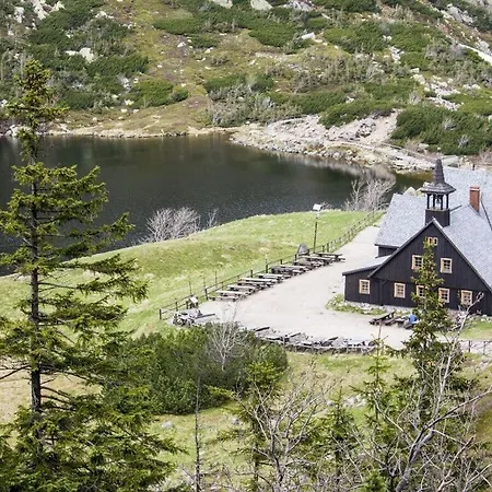 Dom wakacyjny Comfortable